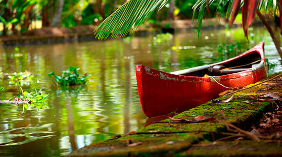 tucano-amazon-cruise-experiences2