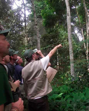 birdwatching-peru-amazon birdwatching-peru-amazon