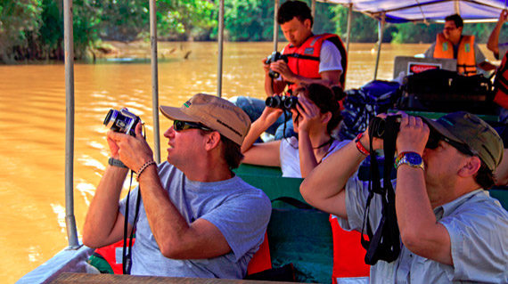 manatee-amazon-cruise7