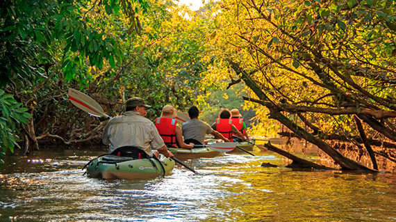 manatee-amazon-cruise8