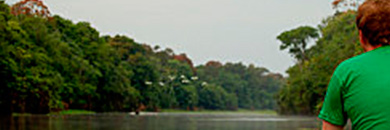 Ariau-Amazon-Towers-Lodge-brazil-2 cruises on the amazon river brazil