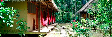 Madidi-Jungle-Ecolodge-bolivia2 Ecuador Amazon Tour