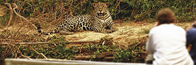 Southwild-Jaguar-Camp-brazil-pantanal2 world tour amazon