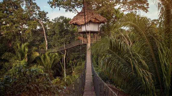 amazon rainforest tour