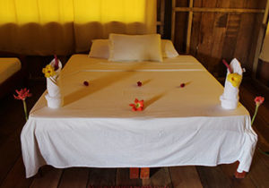 amazon-rainforest-lodge-peu-iquitos3 luxury amazon river cruises