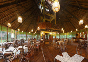 amazon-rainforest-lodge-peu-iquitos4 luxury amazon river cruise