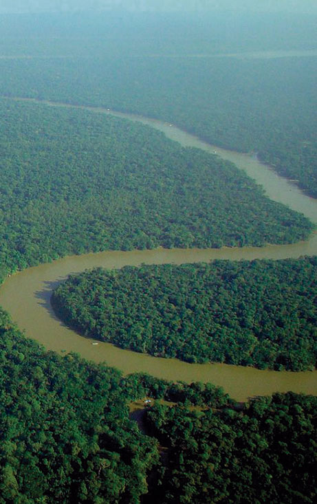 cruise down the amazon