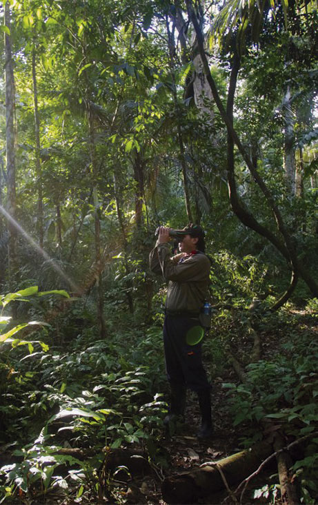 Amazon rainforest tour