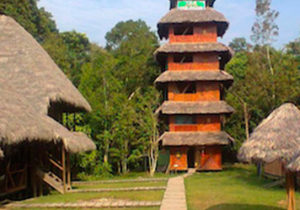 ecuador amazon tour
