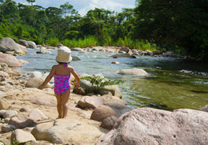 amazon river tour