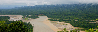 manu-amazon-lodge-peru2. Amazon river cruises