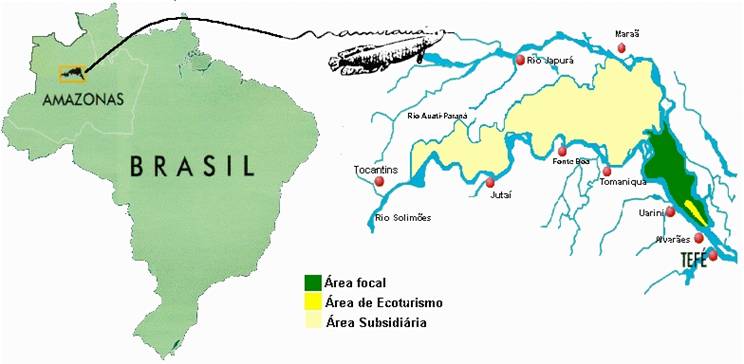 mapa-amazonas