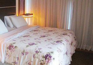 Amazon luxury cruise