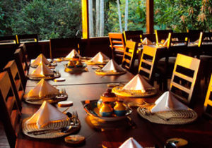 sani-lodge-amazon-lodge3 the cruise control diet amazon