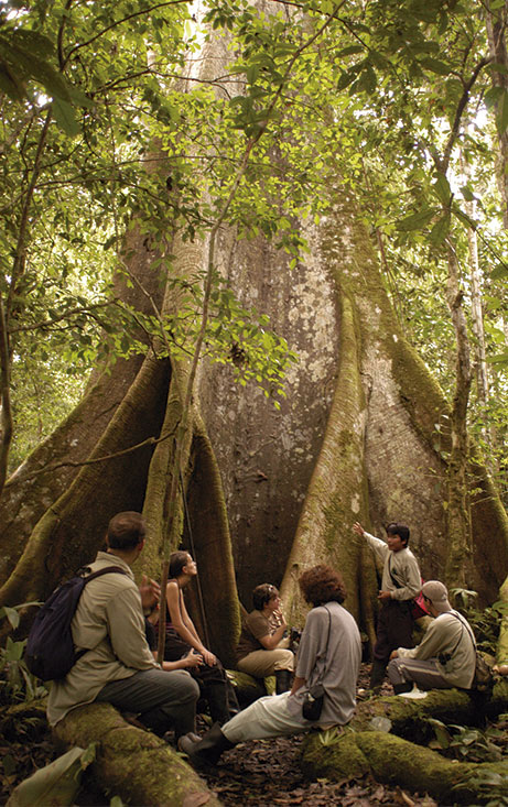 Amazon trip