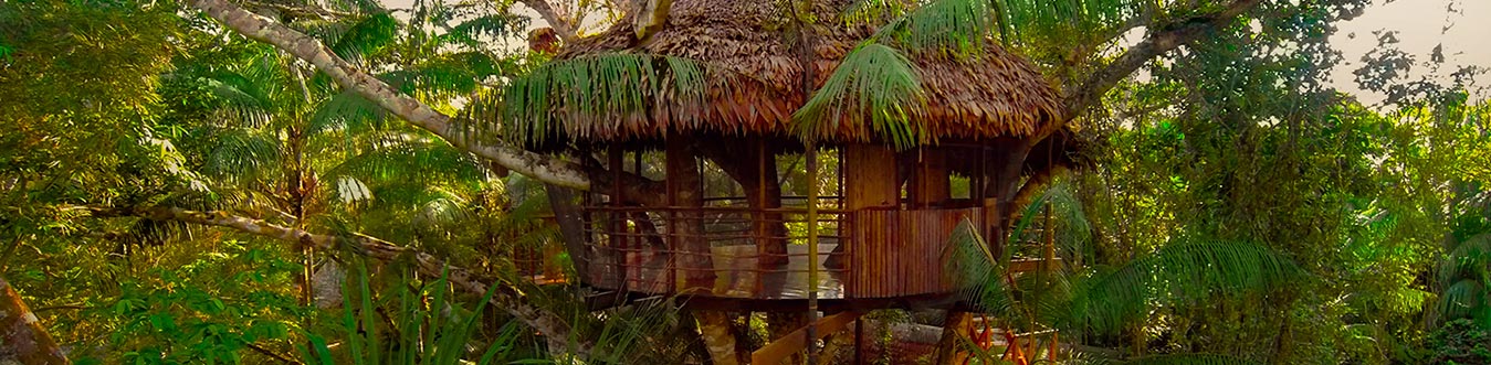 Amazon trip