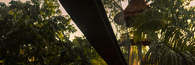 tree-house-lodge-amazon-peru2 amazon rainforest tour