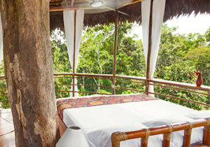 tree-house-lodge-amazon-peru3 peru cruise amazon