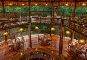 tree-house-lodge-amazon-peru4 amazon luxury cruise
