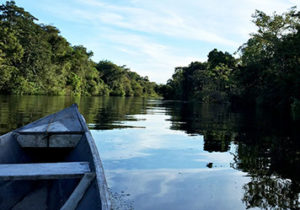 amazon rainforest river cruises