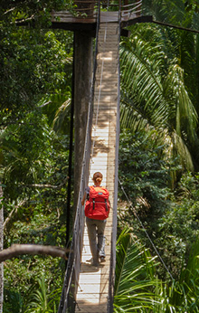 Amazon jungle tour