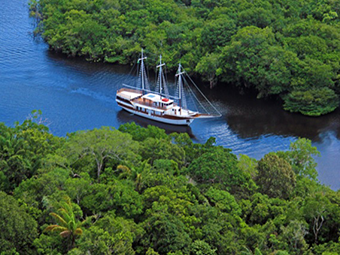 Brazil Amazon cruise