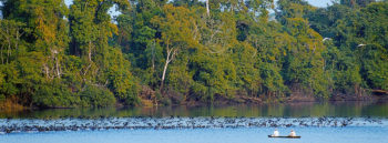 Iquitos Peru