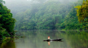 Amazon river cruises