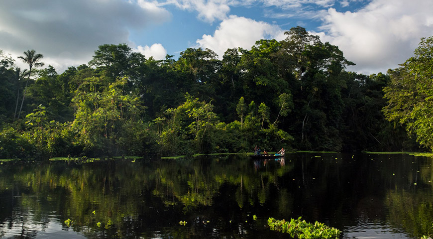 Amazon river cruises