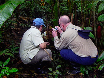 amazon rainforest tour