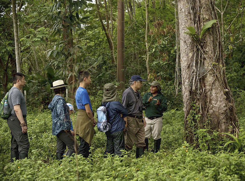 RF Expeditions Amazon Cruise | Hiking in the Amazon