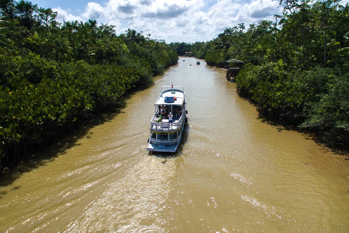 Amazon Luxury Cruise Manaus
