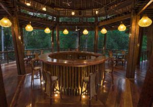 Tree house lodge 4