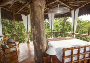 Tree house lodge 6