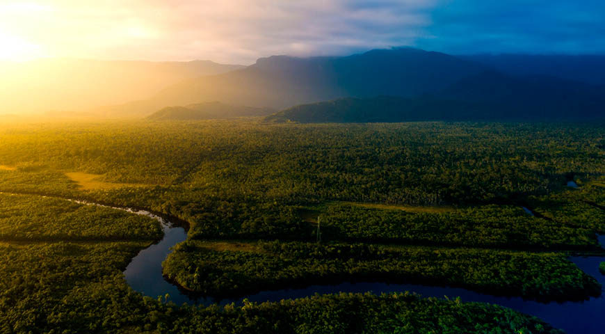 Brasil amazon rainforest