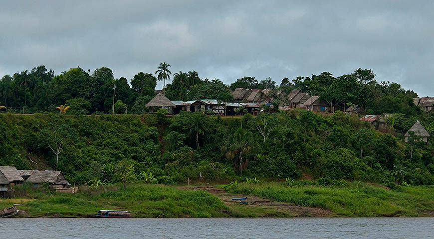 Peru rainforest