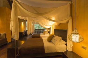Deluxe Room Tambopata Lodge