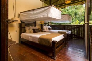 Standard Room Tambopata Lodge