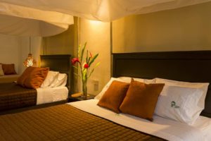 Suite Room Tambopata Lodge