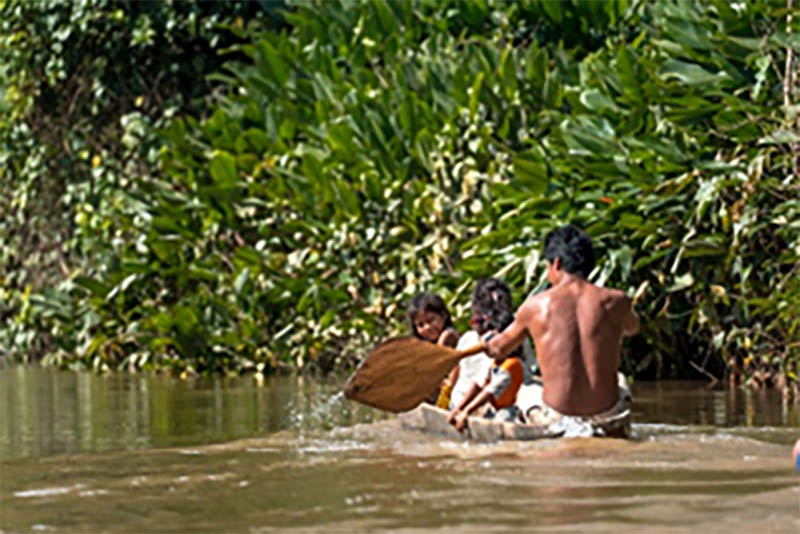 amazon river