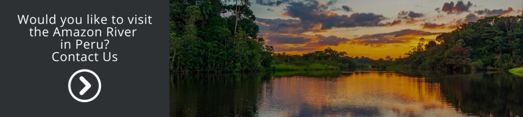 Banner Tours Voyagers Amazon River in Peru contact us